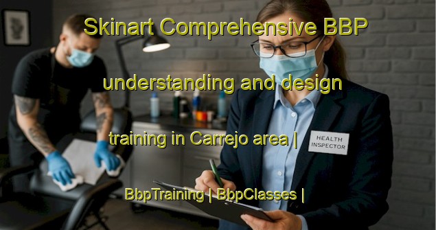 Skinart Comprehensive BBP understanding and design training in Carrejo area | BbpTraining | BbpClasses | SkinartTraining-Spain